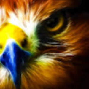 Meet your Posher, Stardust freedom